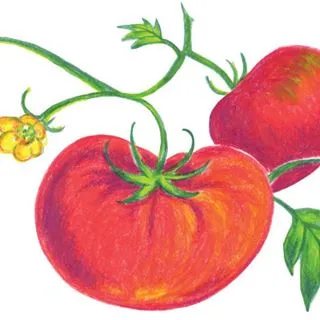 Grow Organic discount code